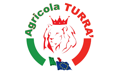 turra PNG