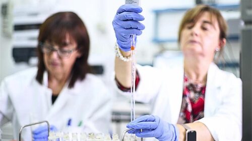 laboratorio6